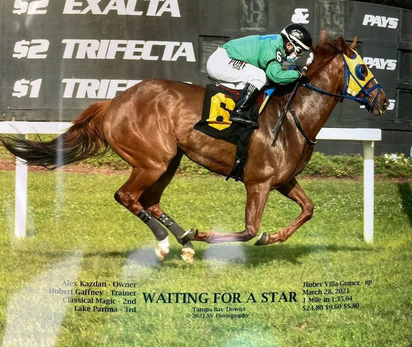 Waiting for a Star, a horse HG trained, winning at Tampa Bay Downs in 2021
